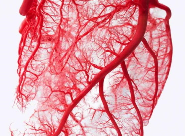 Антон Геннадьевич Колединский принял участие на научно-практической конференции «Рентгенэндоваскулярная хирургия Московской области» (РЭХМО2020)