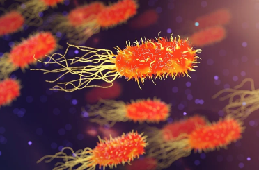 «СМ-Клиника» принимает участие  в международной программе Европейского регистра по диагностике и лечению инфекции Helicobacter pylori (Hp-EuReg)