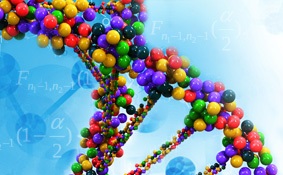 Сравнительная характеристика отдельных нормативно-правовых актов, используемых для оценки качества работы врача акушера-гинеколога