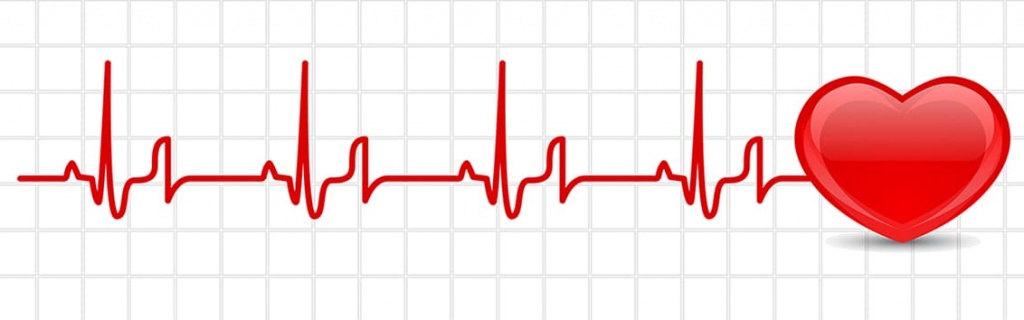 ekg-elektrokardiogramma.jpg