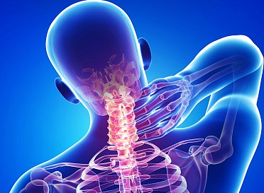 Междисциплинарный подход по вопросам головы и шеи
