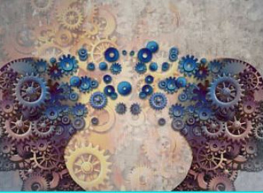 Завершился трехдневный практический НМО цикл «Актуальные вопросы ангиоандрологии».