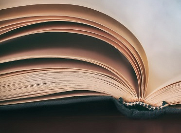 Руководство для врачей «Клеевая облитерация магистральных подкожных вен»